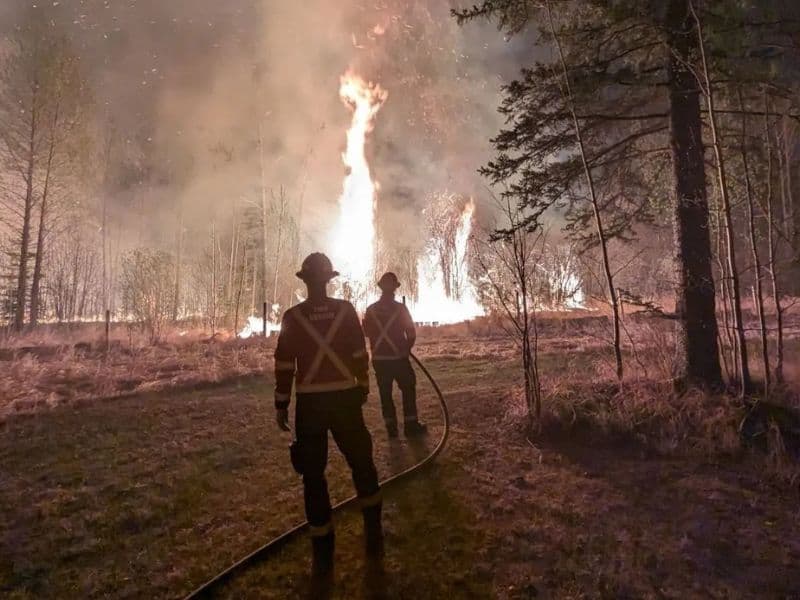 Two firefighters working a forest fire.