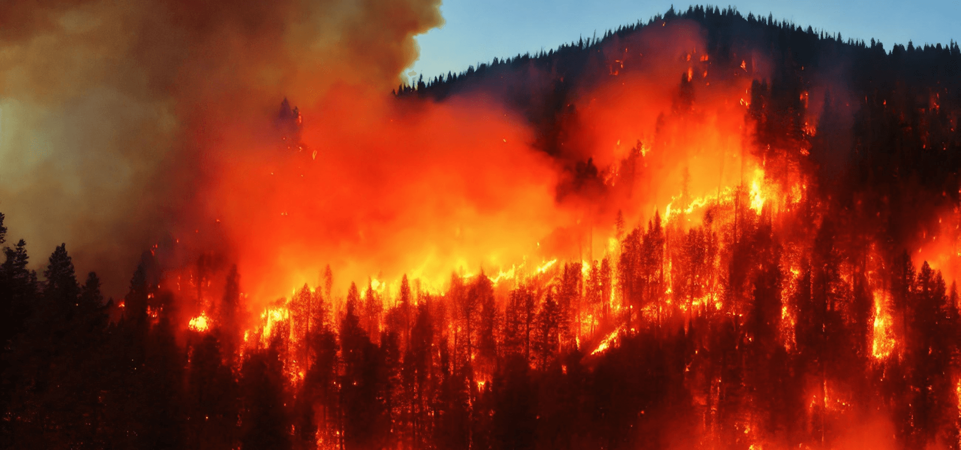 Forest fire on the side of a mountain.