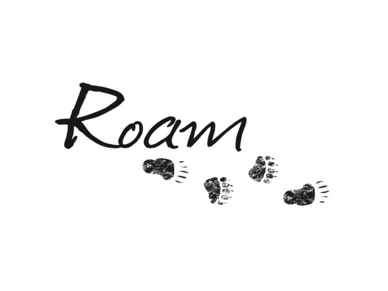 ROAM Transportation Logo
