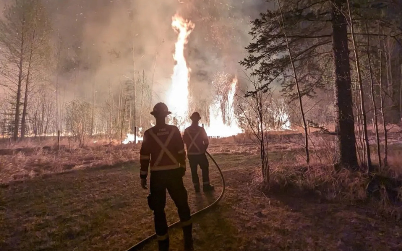 Wildfire service workers